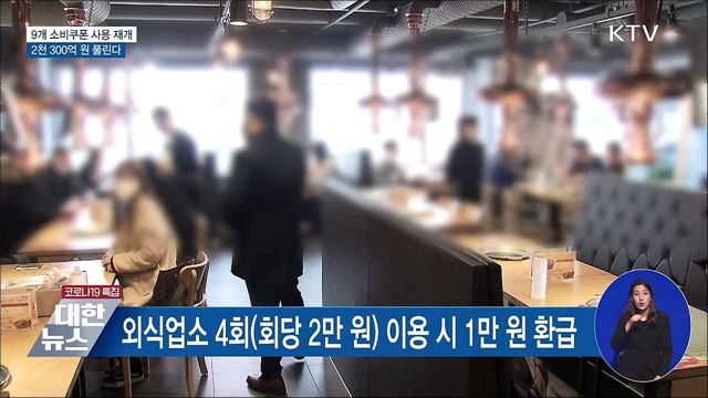 다음 달부터 외식 등 9개 소비쿠폰 사용 재개