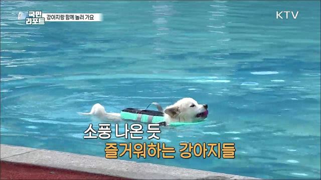 반려동물 1천 5백만 시대, 강아지와 즐기는 테마파크