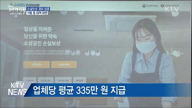 손실보상 제외 업종 11월 중 대책 마련