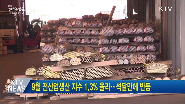 9월 전산업생산 지수 1.3% 올라···석달만에 반등