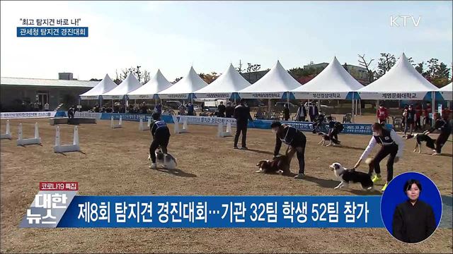 "최고 탐지견 바로 나!"···관세청 탐지견 경진대회
