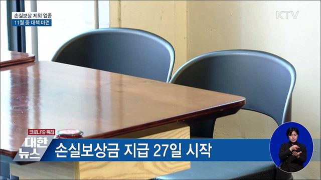 손실보상 제외 업종 11월 중 대책 마련