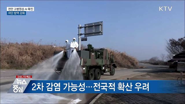 천안 고병원성 AI 확진···차단 방역 강화