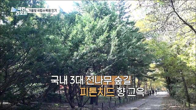 '위드 코로나' 속 가을빛 국립수목원 인기