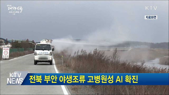 전북 부안 야생조류 고병원성 AI 확진