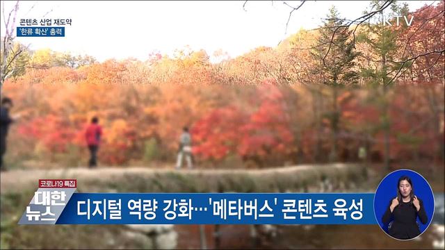 코로나 딛고 '콘텐츠' 재도약···'한류 확산' 총력