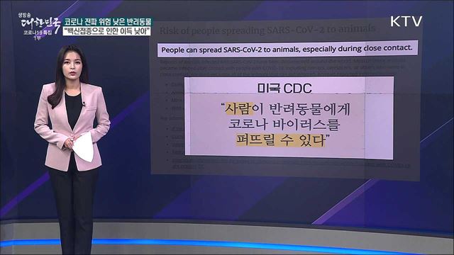 반려동물도 코로나 백신 맞아야 할까? [사실은 이렇습니다]