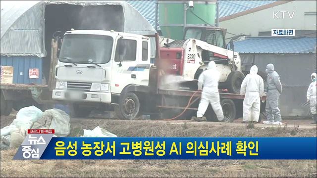 음성 농장서 고병원성 AI 의심사례 확인