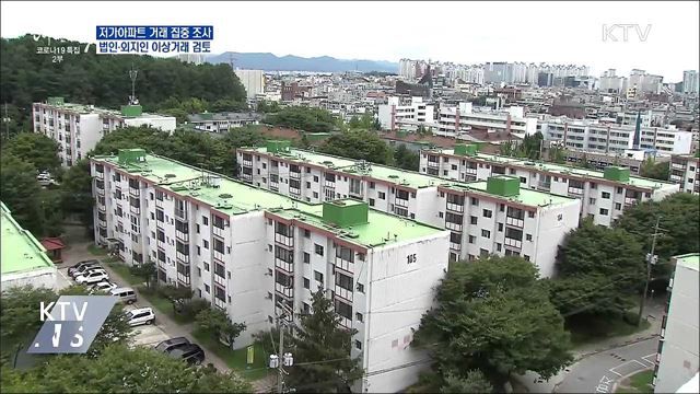 공시가 1억원 이하 아파트 거래 집중 조사