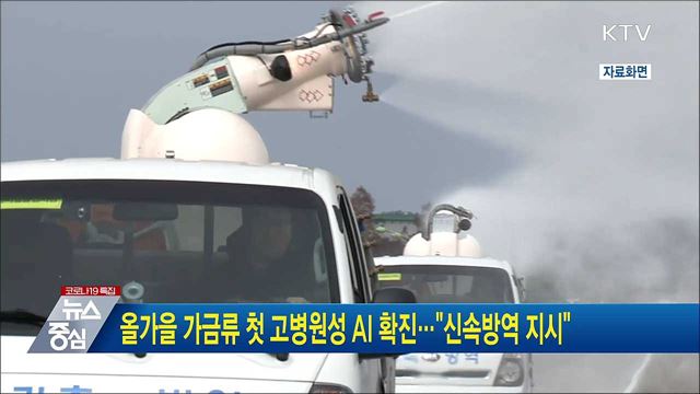 올가을 가금류 첫 고병원성 AI 확진···"신속 방역 지시"