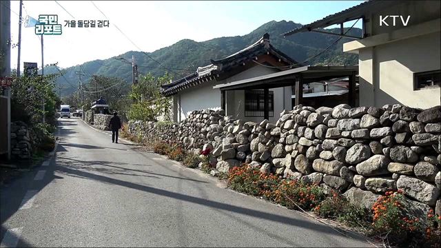 군위 한밤마을, 돌담길 따라 가을을 걷다
