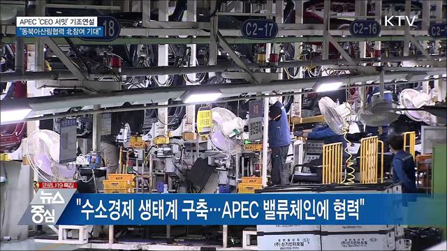 APEC 'CEO 서밋'···"동북아 산림협력 북 참여 기대"