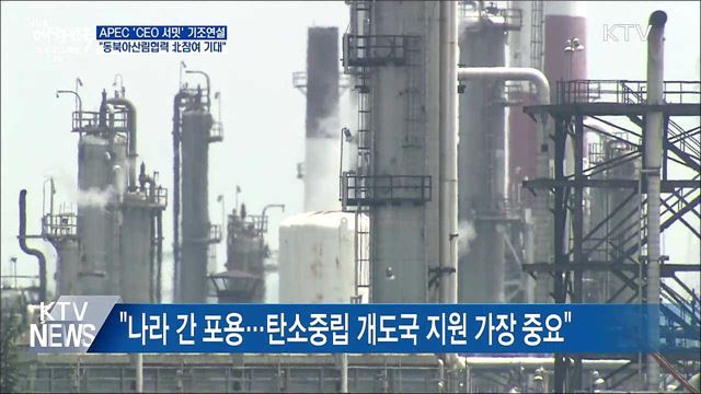 APEC 'CEO 서밋'···"동북아 산림협력 북 참여 기대"