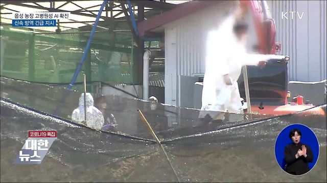 음성 농장 고병원성 AI 확진···신속 방역 긴급 지시