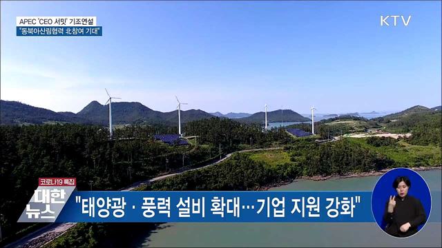 APEC 'CEO 서밋'···"동북아 산림협력 북 참여 기대"