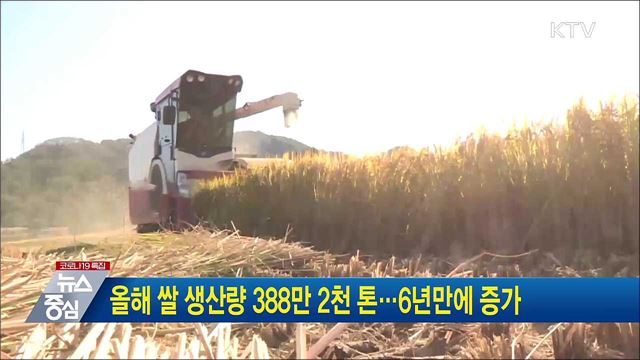 올해 쌀 생산량 388만 2천 톤···6년만에 증가