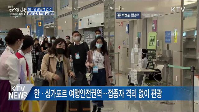 싱가포르서 관광객 첫 입국···방한관광 '기지개'