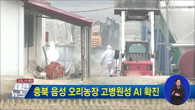 충북 음성 오리농장 고병원성 AI 확진