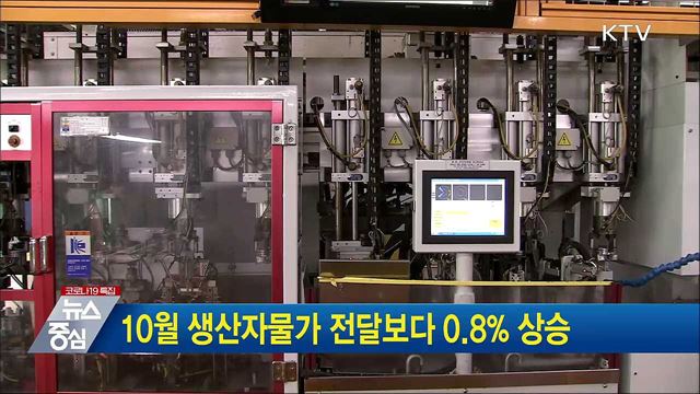10월 생산자물가 전달보다 0.8% 상승
