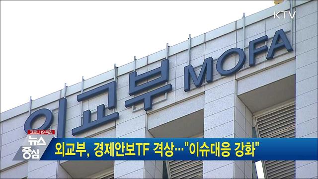외교부, 경제안보TF 격상···"이슈대응 강화" 