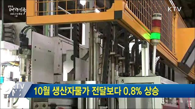 10월 생산자물가 전달보다 0.8% 상승