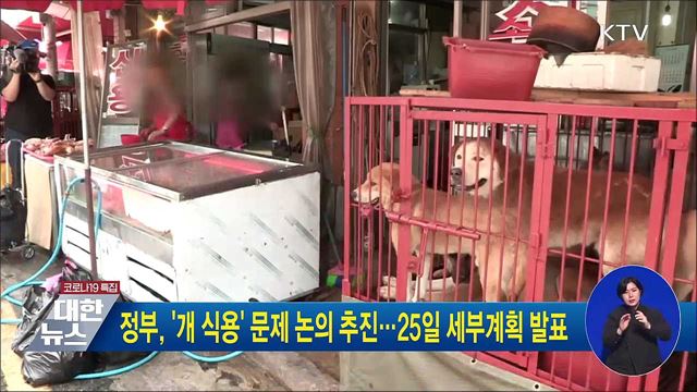 정부, '개 식용' 문제 논의 추진···25일 세부계획 발표