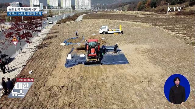 농촌 고령화·인력난 심각···농작업 '대행시대' [우리동네 개선문]