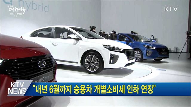 "내년 6월까지 승용차 개별소비세 인하 연장"