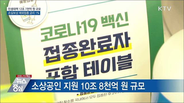 민생대책 12조 7천억···손실보상 제외업종 금리 1%