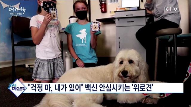 "걱정 마, 내가 있어" 백신 안심시키는 '위로견' [굿모닝 해외토픽]