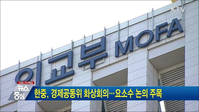 한중, 경제공동위 화상회의···요소수 논의 주목