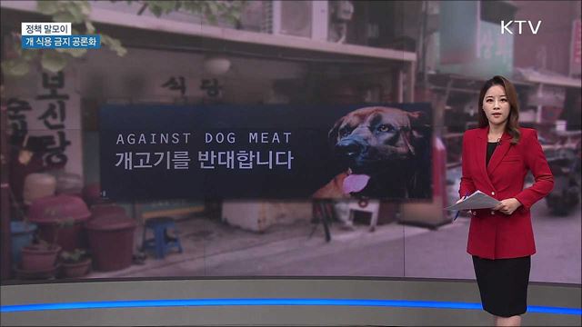 개 식용 금지 공론화 [정책 말모이]