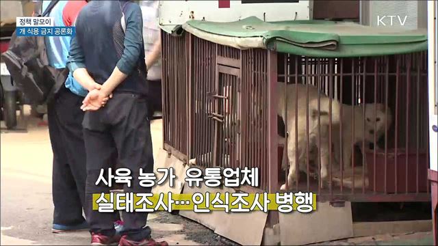 개 식용 금지 공론화 [정책 말모이]