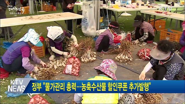 정부 "물가관리 총력···농축수산물 할인쿠폰 추가발행"