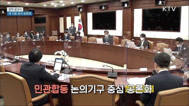 개 식용 금지 공론화 [정책 말모이]