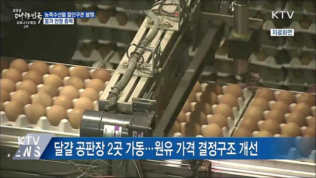 농축수산물 할인쿠폰 590억 원 발행···물가 안정 총력