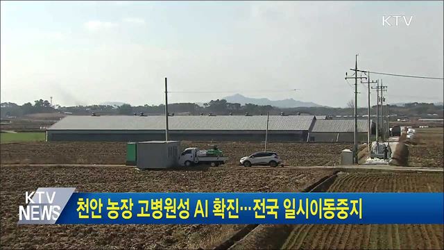 천안 농장 고병원성 AI 확진···전국 일시이동중지