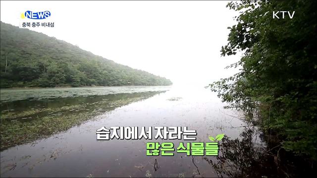 탄소 중립에 중요한 역할하는 습지 [S&News]