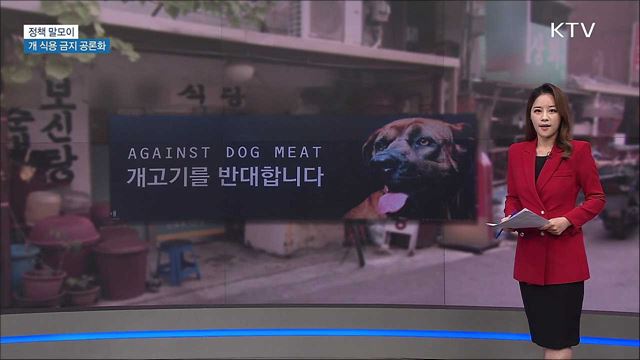개 식용 금지 공론화 [정책 말모이]