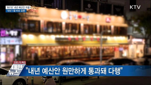 내년 예산안 국무회의 의결···"내년 1월 바로 집행"