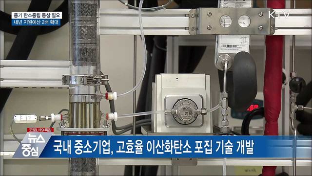 중기부 탄소중립 예산 2배 확대···"중기 동참 필수"