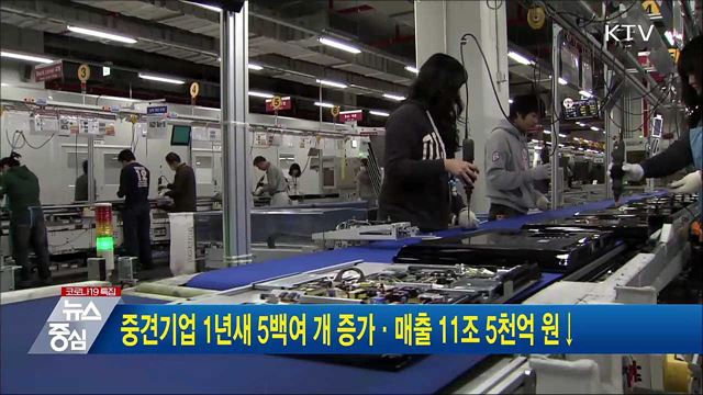 중견기업 1년새 5백여 개 증가·매출 11조 5천억 원↓