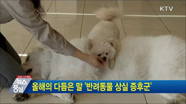 올해의 다듬은 말 '반려동물 상실 증후군'