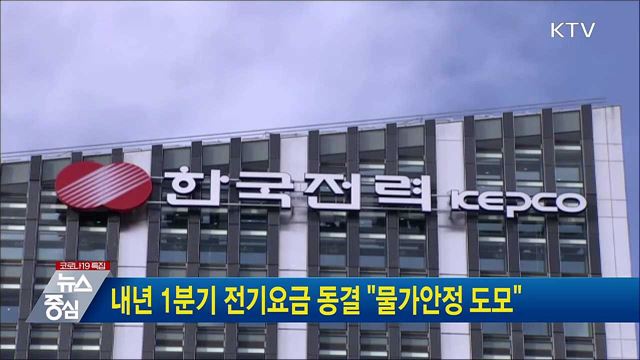 내년 1분기 전기요금 동결 "물가안정 도모"