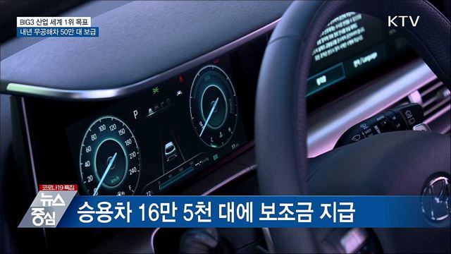 BIG3 세계 1위 목표···내년 무공해차 50만 대 보급
