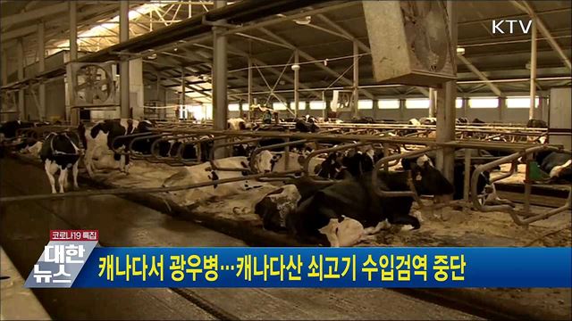 캐나다서 광우병···캐나다산 쇠고기 수입검역 중단