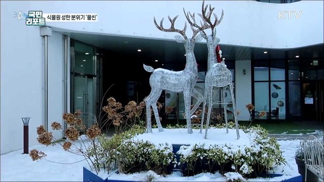 '크리스마스 분위기' 연출해 식물원 눈길 끌어