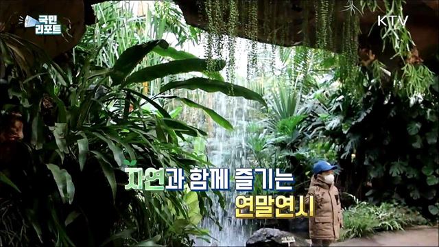 '크리스마스 분위기' 연출해 식물원 눈길 끌어