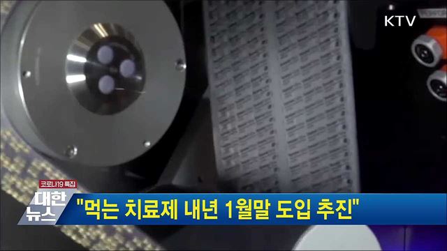 "먹는 치료제 내년 1월말 도입 추진"
