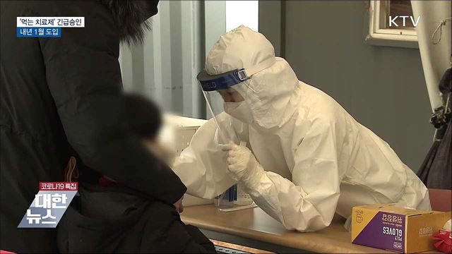 '먹는 치료제' 긴급사용승인···내년 1월 도입